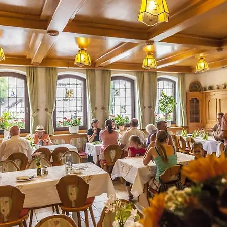 Bloedel Gruener Baum