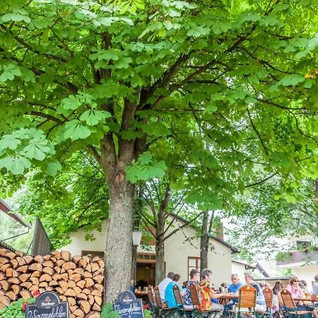 Bloedel Gruener Baum Hotel Neurenberg