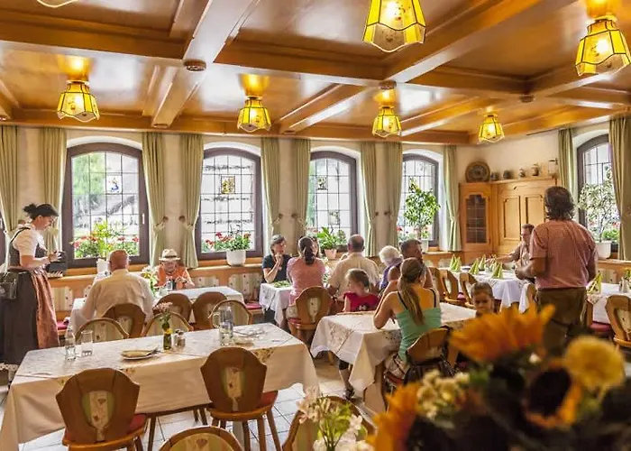 Bloedel Gruener Baum