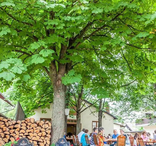 Bloedel Gruener Baum 호텔 뉘른베르크